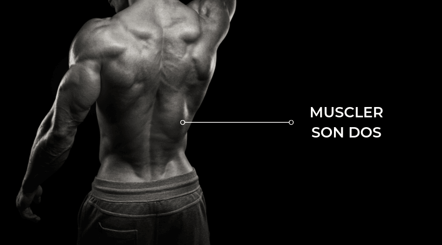 Exercices pour muscler et développer son dos